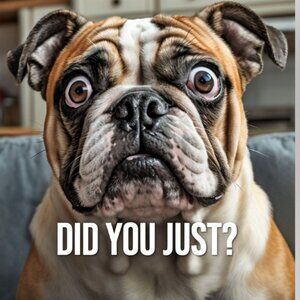 CANCELLED: bundles under $15